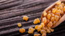 Small chunks of amber crystals - frankincense - against a wooden background
