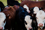 cattle_banner